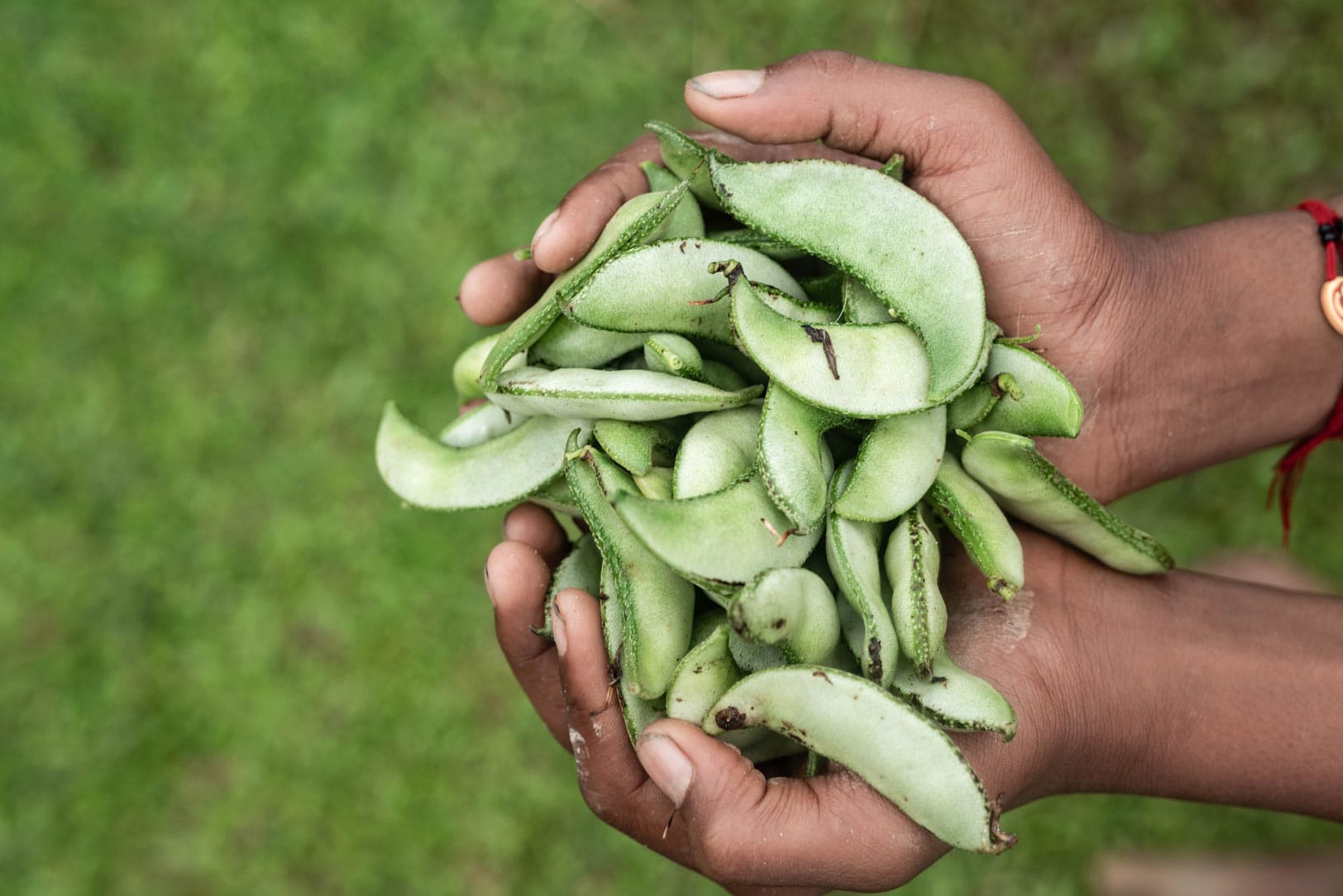 alt="Biraj, „Dein Haus brennt!“, Neustart durch Landwirtschaft, Compassion Deutschland"