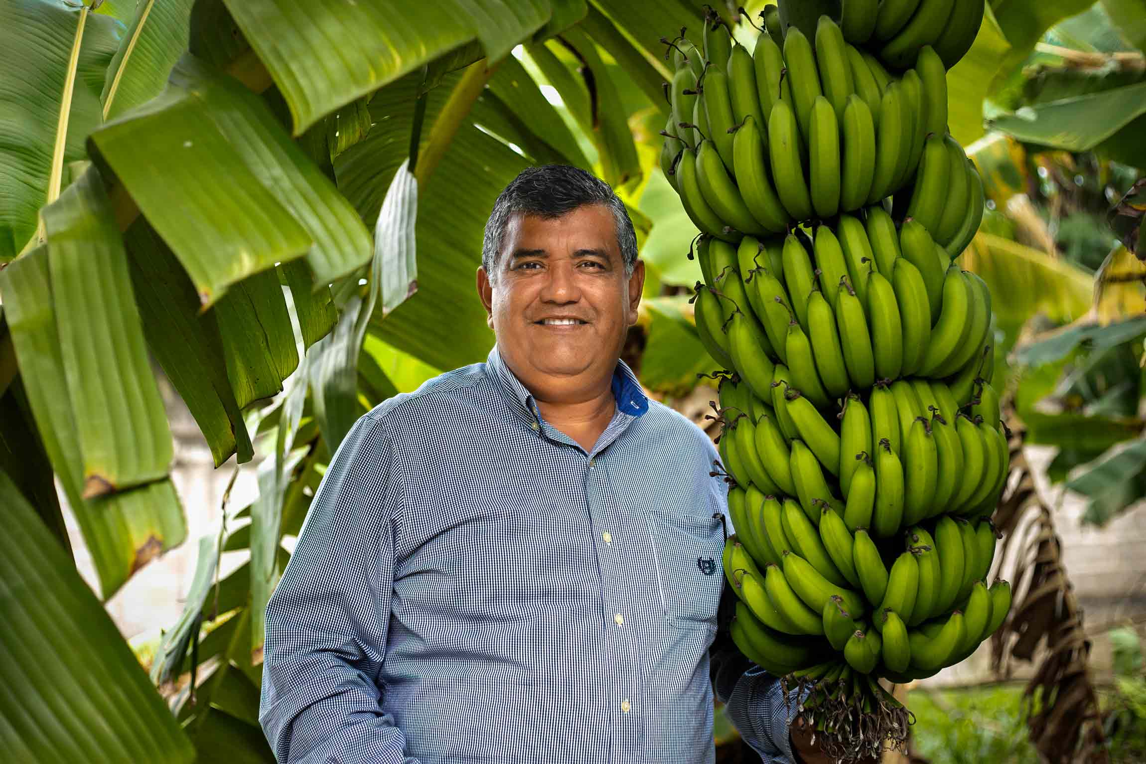 Einsatz für soziale Gerechtigkeit in Honduras, Pastor steht vor Bananenstauden, Compassion Deutschland
